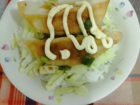 焼き餃子キャベツネギ丼